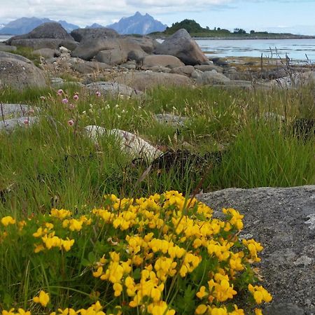 Villa Lofotbo Stamsund Esterno foto