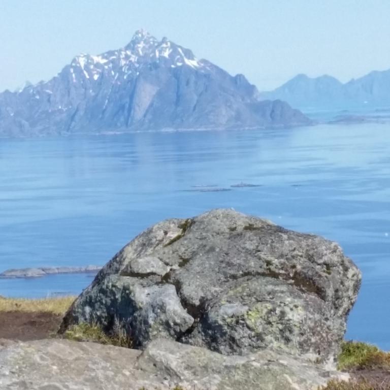 Villa Lofotbo Stamsund Esterno foto