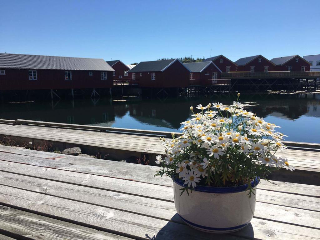 Villa Lofotbo Stamsund Esterno foto